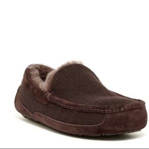 UGG Ascot Wool Slipper NEW